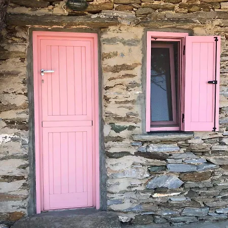 Not Traditional Original The Pink Cottage *